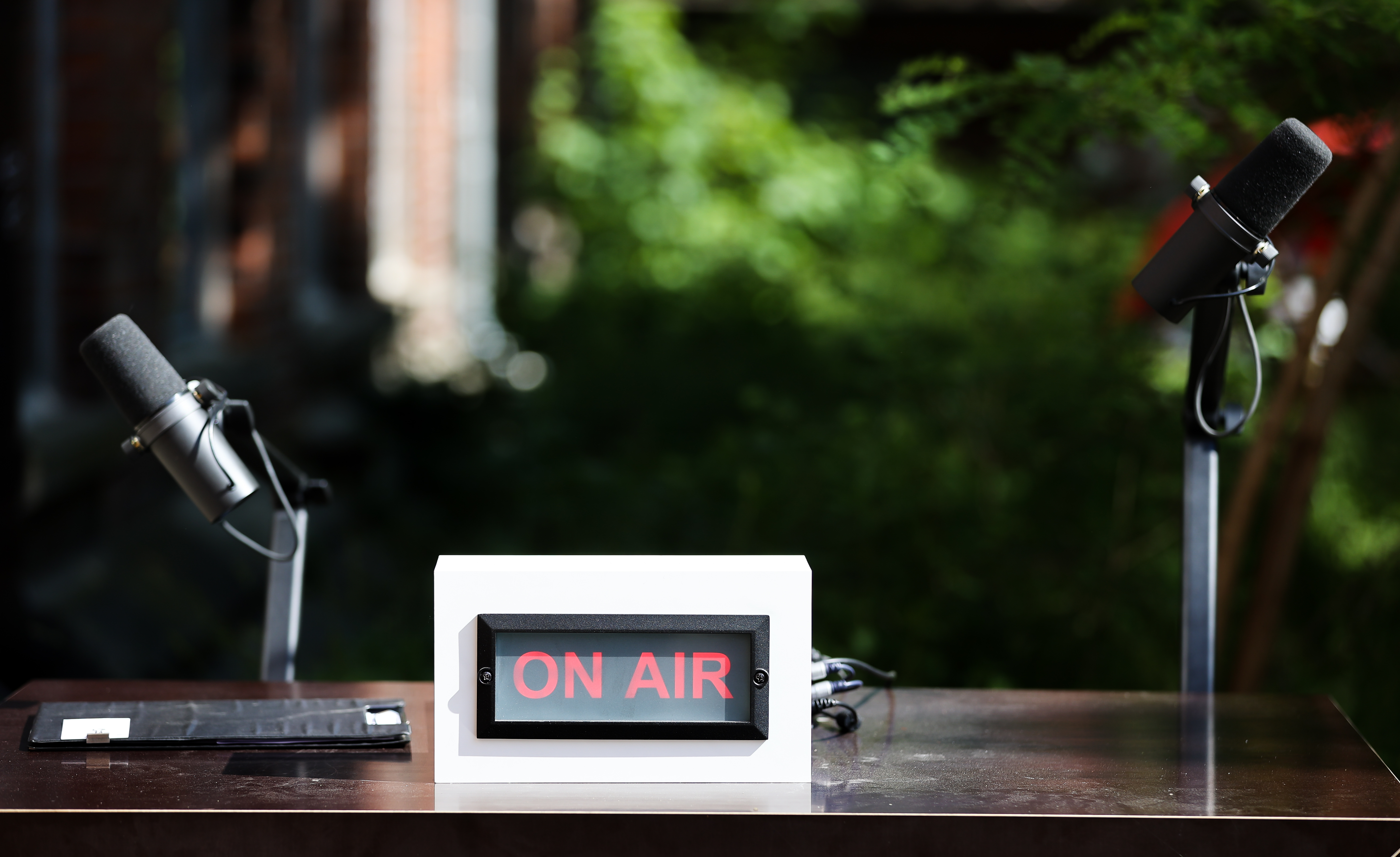 The challenge of detecting misinformation in podcasting