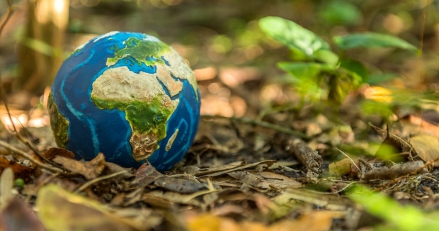 Climate Activists are Waiting on Congress – But Why?
