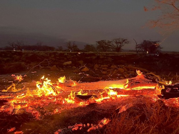 Hawaii Wildfires Leave Over 100 Dead, Thousands Displaced